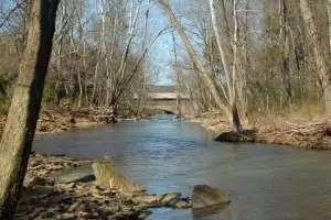 Undisclosed, Hector, AR 72843 photo 38