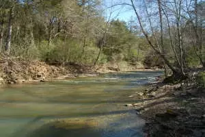 Undisclosed, Hector, AR 72843 photo 39