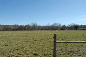 Undisclosed, Hector, AR 72843 photo 30