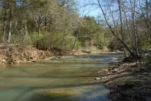 Undisclosed, Hector, AR 72843 photo 3