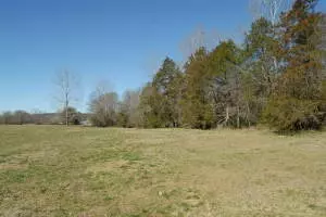 Undisclosed, Hector, AR 72843 photo 46