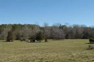 Undisclosed, Hector, AR 72843 photo 32