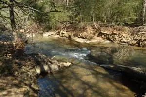 Undisclosed, Hector, AR 72843 photo 35