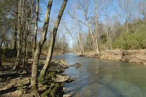 Undisclosed, Hector, AR 72843 photo 37