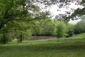 Undisclosed, Hector, AR 72843 photo 14