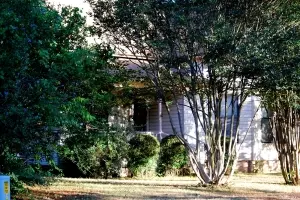 Undisclosed, Ola, AR 72853 photo 9
