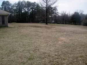 Undisclosed, Dover, AR 72837 photo 4