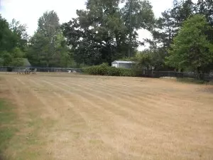 Undisclosed, Dover, AR 72837 photo 17