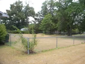 Undisclosed, Dover, AR 72837 photo 16