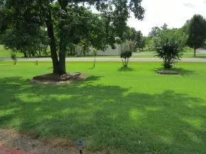 Undisclosed, Dover, AR 72837 photo 34