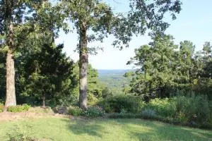 Undisclosed, Dover, AR 72837 photo 37