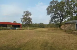 Undisclosed, Dover, AR 72837 photo 5