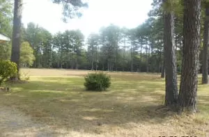 Undisclosed, Dover, AR 72837 photo 2