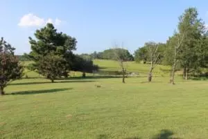 Undisclosed, Dover, AR 72837 photo 44