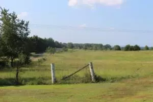 Undisclosed, Dover, AR 72837 photo 34