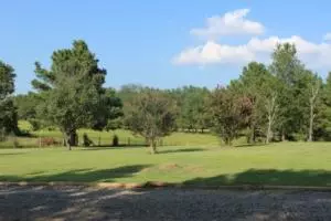 Undisclosed, Dover, AR 72837 photo 40