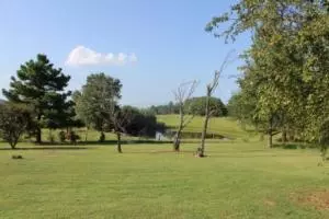 Undisclosed, Dover, AR 72837 photo 39