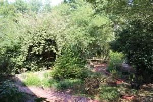 Undisclosed, Dover, AR 72837 photo 57