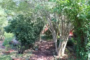 Undisclosed, Dover, AR 72837 photo 58