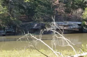 Undisclosed, Ola, AR 72853