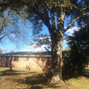 Undisclosed, Dardanelle, AR 72834 photo 21