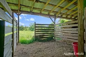 Undisclosed, Dover, AR 72837 photo 67