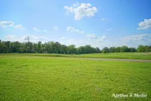 Undisclosed, Dover, AR 72837 photo 52