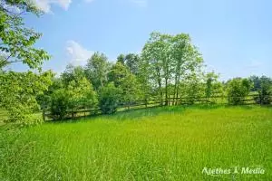 Undisclosed, Dover, AR 72837 photo 74