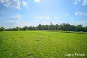 Undisclosed, Dover, AR 72837 photo 53