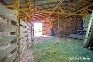 Undisclosed, Dover, AR 72837 photo 65