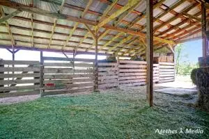 Undisclosed, Dover, AR 72837 photo 66