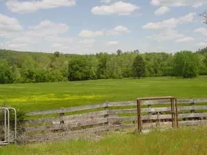 Undisclosed, Hector, AR 72843 photo 56