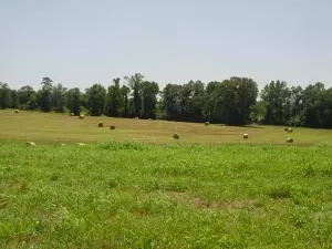 Undisclosed, Hector, AR 72843 photo 74