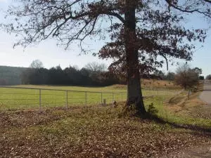 Undisclosed, Hector, AR 72843 photo 15