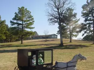 Undisclosed, Hector, AR 72843 photo 18