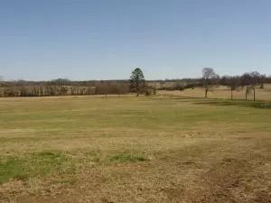 Undisclosed, Hector, AR 72843 photo 82