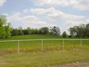 Undisclosed, Hector, AR 72843 photo 54