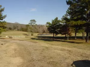 Undisclosed, Hector, AR 72843 photo 6
