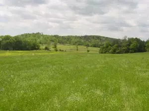 Undisclosed, Hector, AR 72843 photo 61