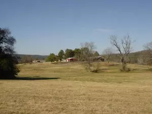 Undisclosed, Hector, AR 72843 photo 39