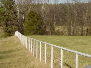 Undisclosed, Hector, AR 72843 photo 16