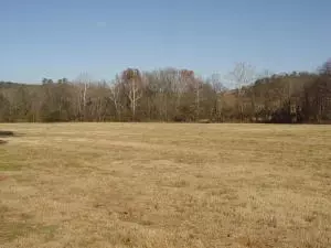 Undisclosed, Hector, AR 72843 photo 31