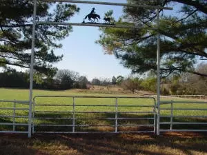 Undisclosed, Hector, AR 72843 photo 13