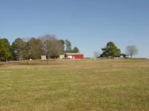 Undisclosed, Hector, AR 72843 photo 36