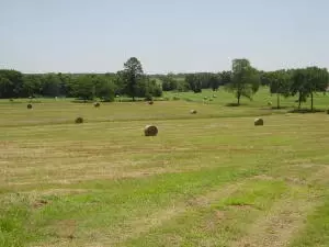 Undisclosed, Hector, AR 72843 photo 63