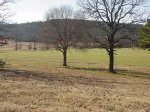 Undisclosed, Hector, AR 72843 photo 86