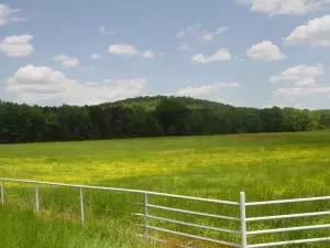 Undisclosed, Hector, AR 72843 photo 51