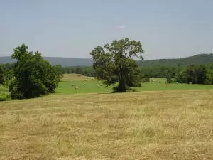 Undisclosed, Hector, AR 72843 photo 69