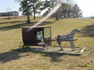 Undisclosed, Hector, AR 72843 photo 21