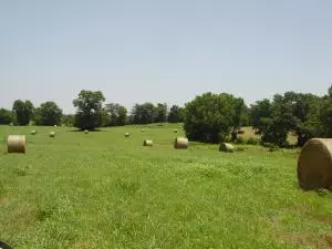 Undisclosed, Hector, AR 72843 photo 75
